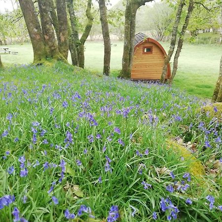 Dinas Hotel Llanbedr  Kültér fotó