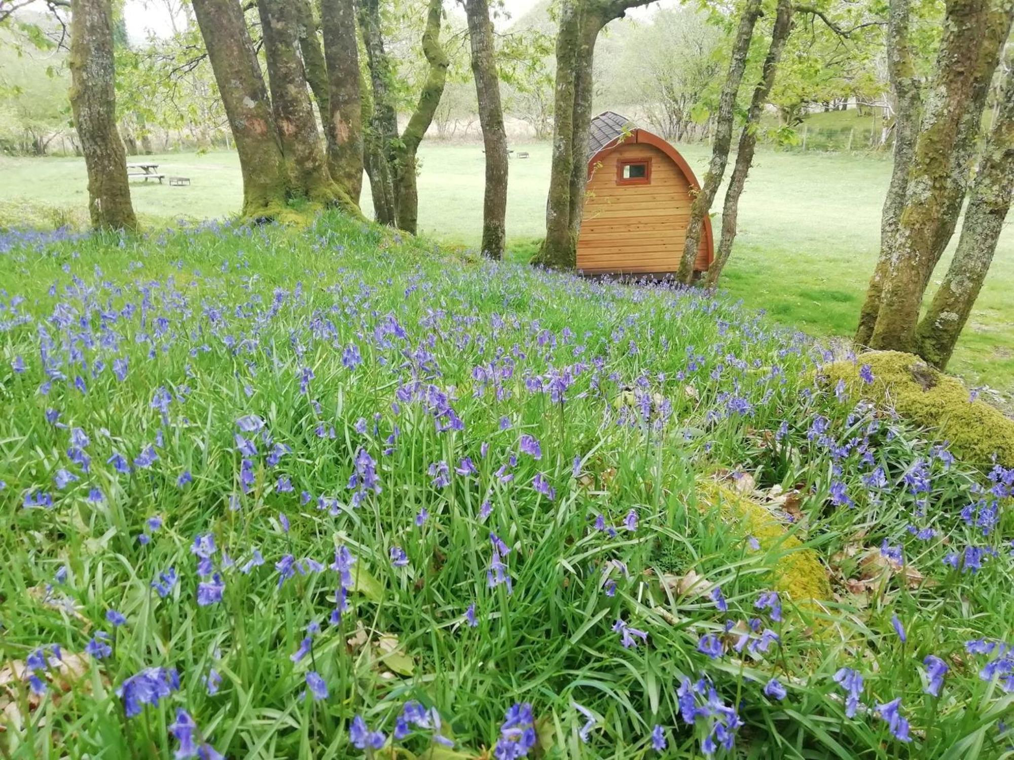 Dinas Hotel Llanbedr  Kültér fotó
