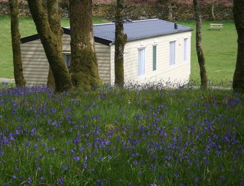 Dinas Hotel Llanbedr  Kültér fotó